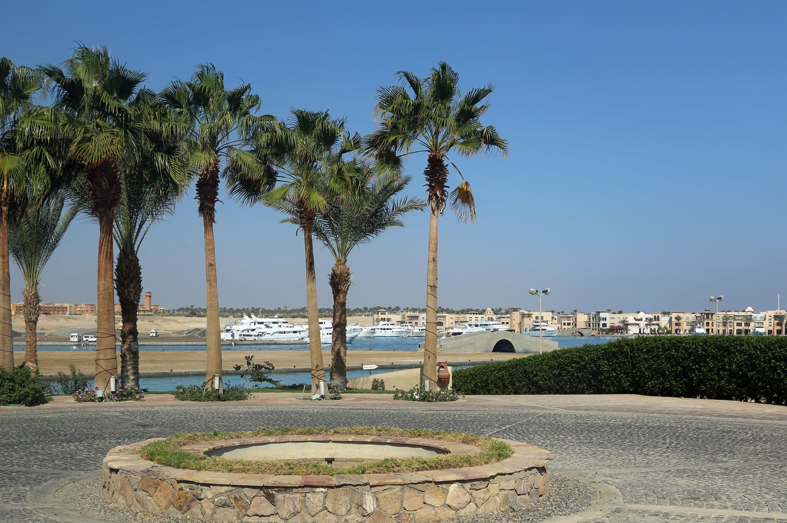 Марина Порт-Галиба: пальмы на набережной, белые катера и яхты у причалов, за водой — городские здания